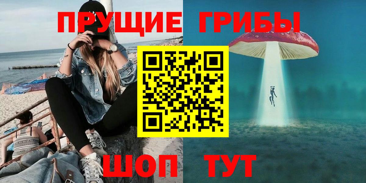 Галлюциногенные грибы Psilocybe  Вход с VPN  Алапаевск  Псилоцибиновые грибы мицелий 